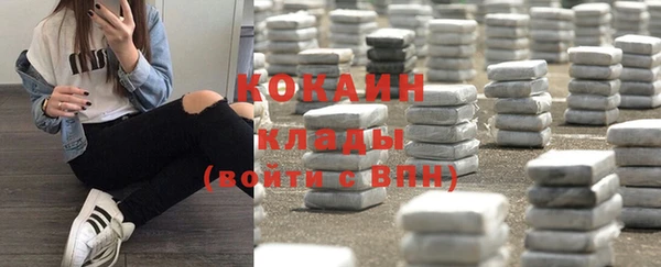 крисы Арсеньев