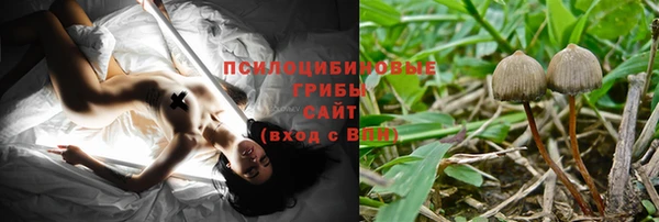 крисы Арсеньев